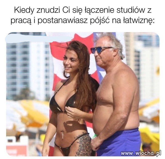 Kobitki potrafią