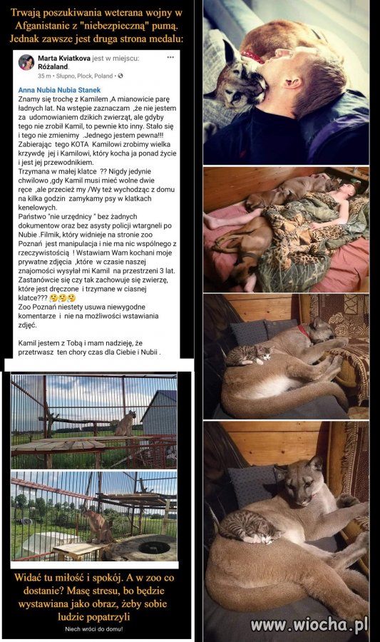Zrobili z niego przestępce