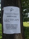 Słowo na niedzielę