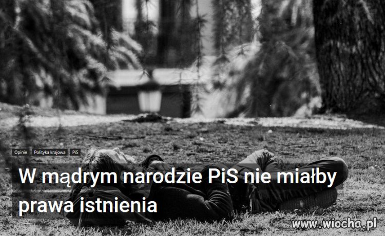 Nie chcę nikogo obrażać, ale jesteśmy głupim narodem.