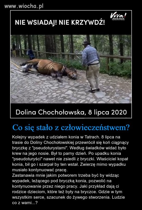 Lepsiejszy sort nawet du.y nie ruszył ...