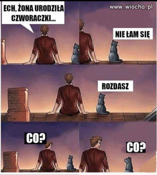 Czworaczki?   