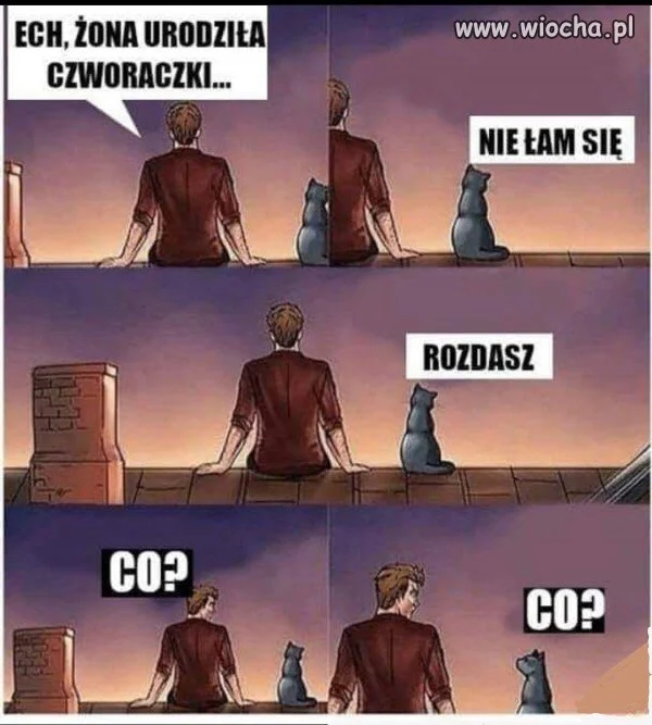 Czworaczki?   