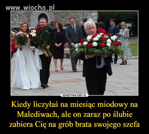 Haha, bez komentarza