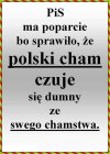 CHAM 
