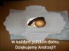 Tylko PiS