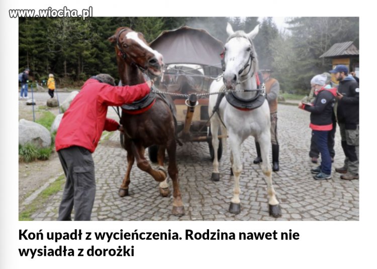 Tymczasem w drodze nad Morskie Oko