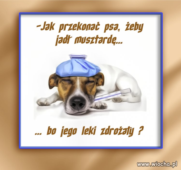  Zamiennik...  