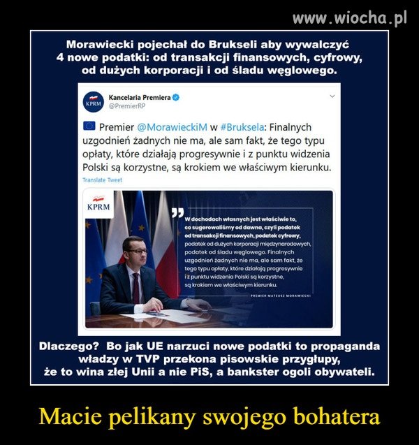 Drodzy Rodacy ... popatrzcie o co walczy dzielnie 