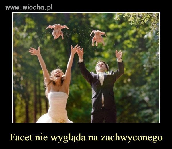 Gołąbki pokoju