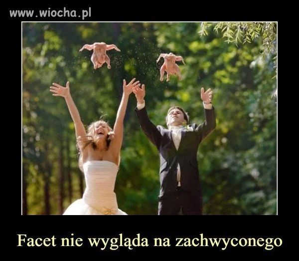 Gołąbki pokoju