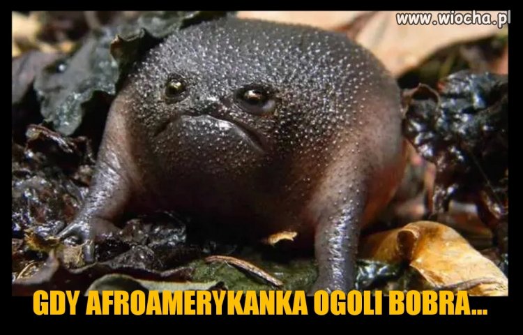 National Geographic