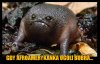 National Geographic