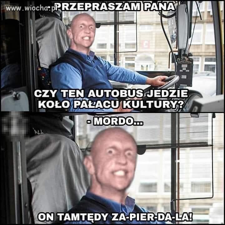 Autobus