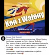 Takie tam piwko