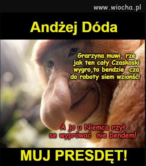 Gdy Grażyna  oglądała TVP...