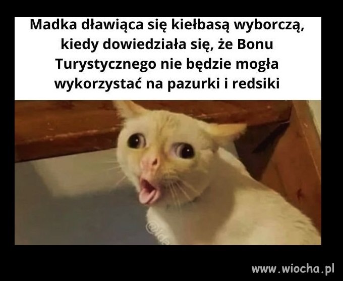  Bo trzeba mieć priorytety 