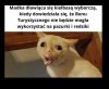  Bo trzeba mieć priorytety 