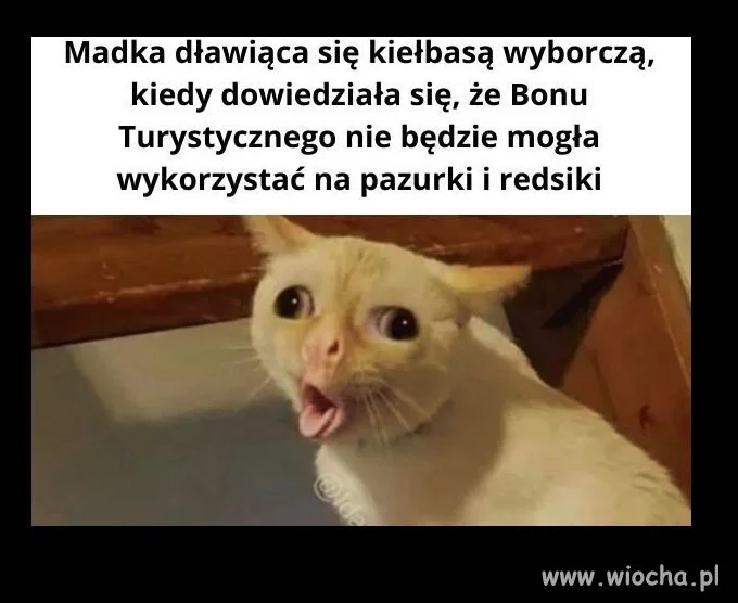  Bo trzeba mieć priorytety 