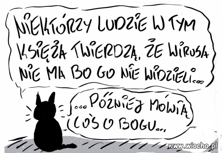 Tytuł zbędny