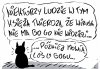 Tytuł zbędny