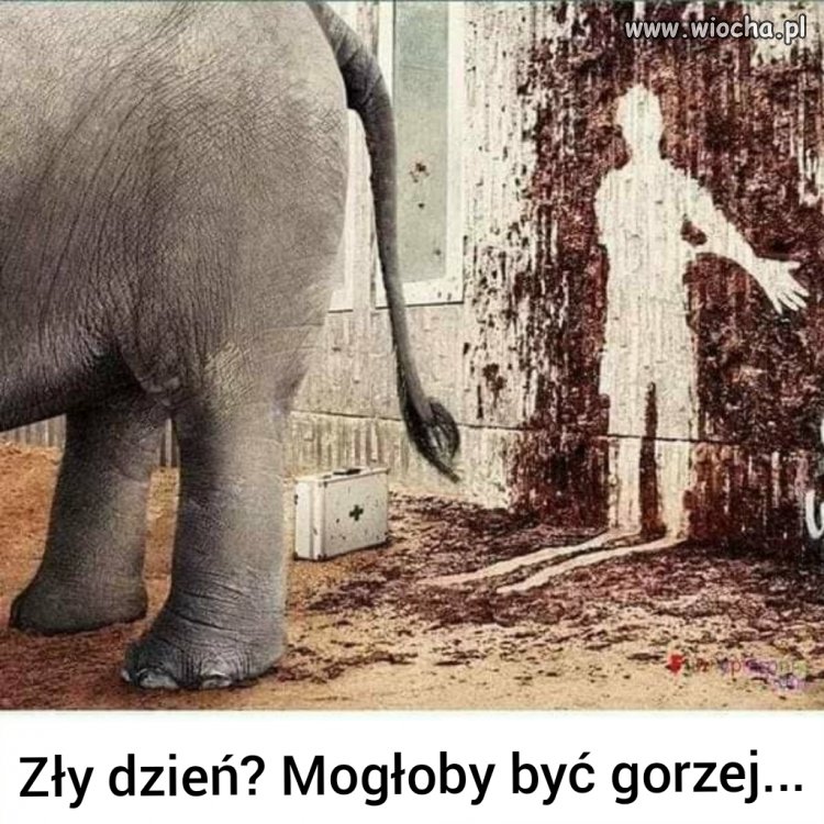Pech
