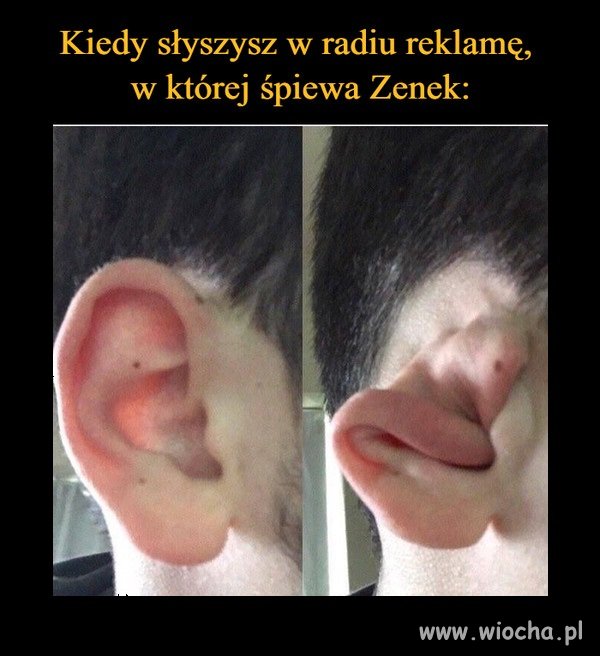 Bez komentarza 