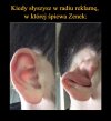 Bez komentarza 