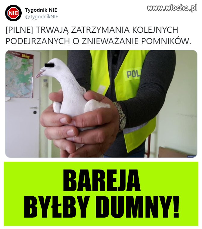 Bareja byłby dumny. 