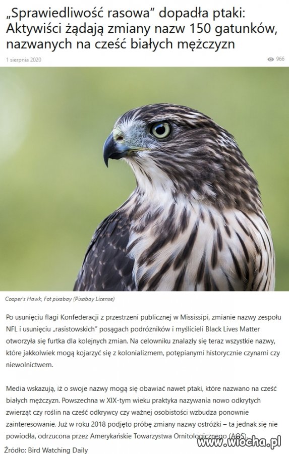 Kiedyś komuchy teraz dumni aktywiści 