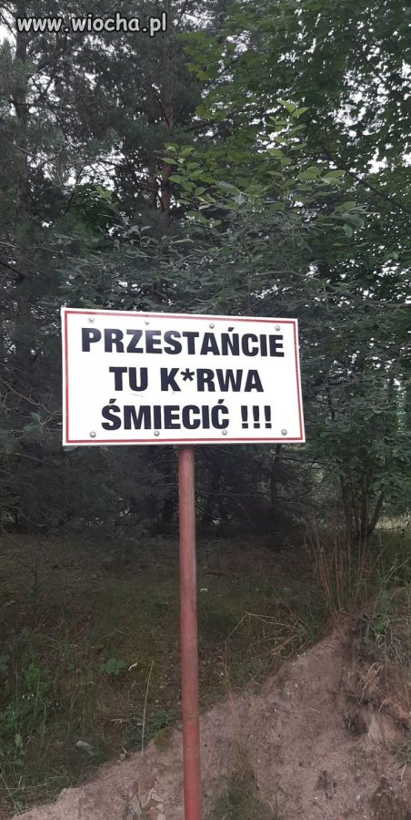 Wakacyjne klimaty