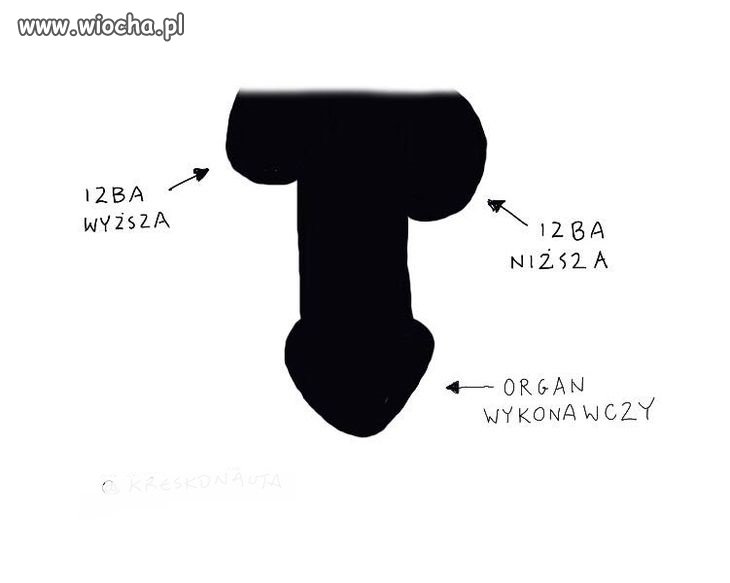Heheszki polityczne