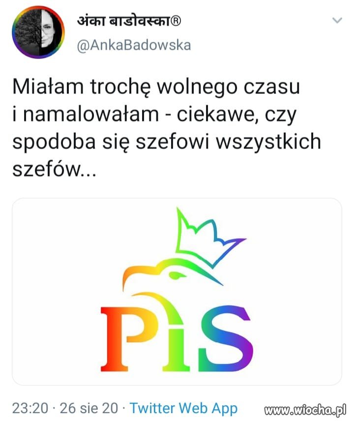 No i co szef na to ? 