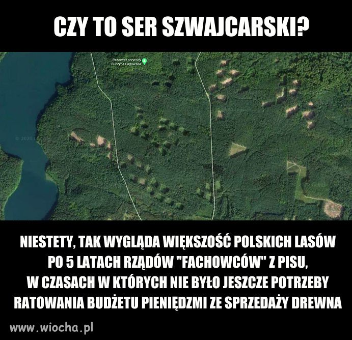 Czy to ser szwajcarski?