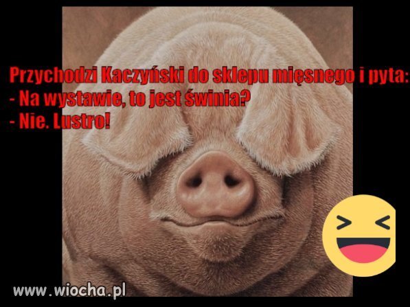 Lustro. 