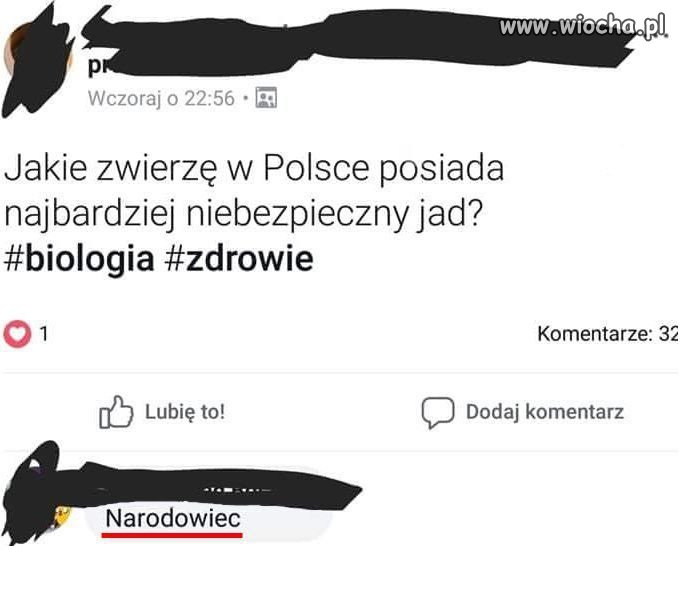 Coś w tym jest