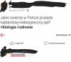 Coś w tym jest