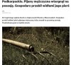Tam, gdzie wszyscy głosują na PiS,