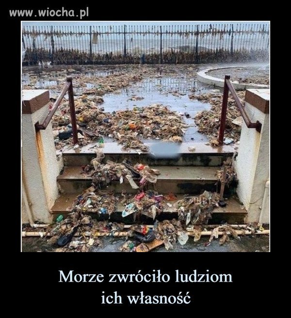 Jak to wasze, to oddaje