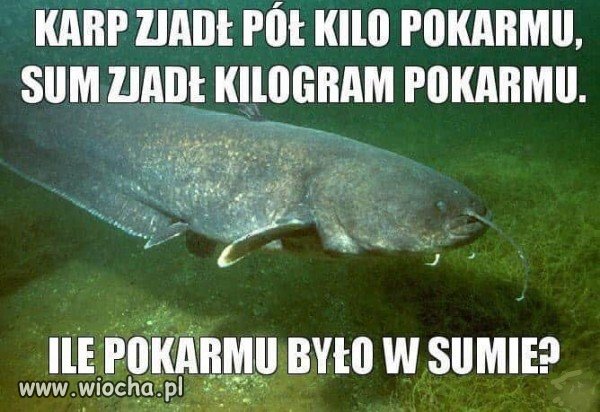Zagadka