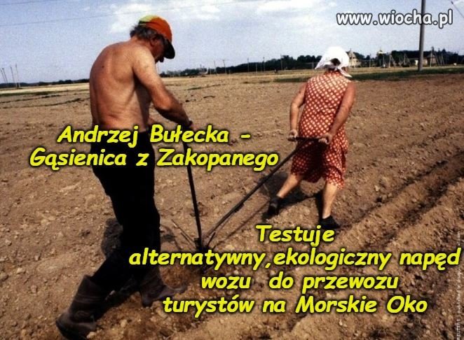 Gdy ekolodzy protestują
