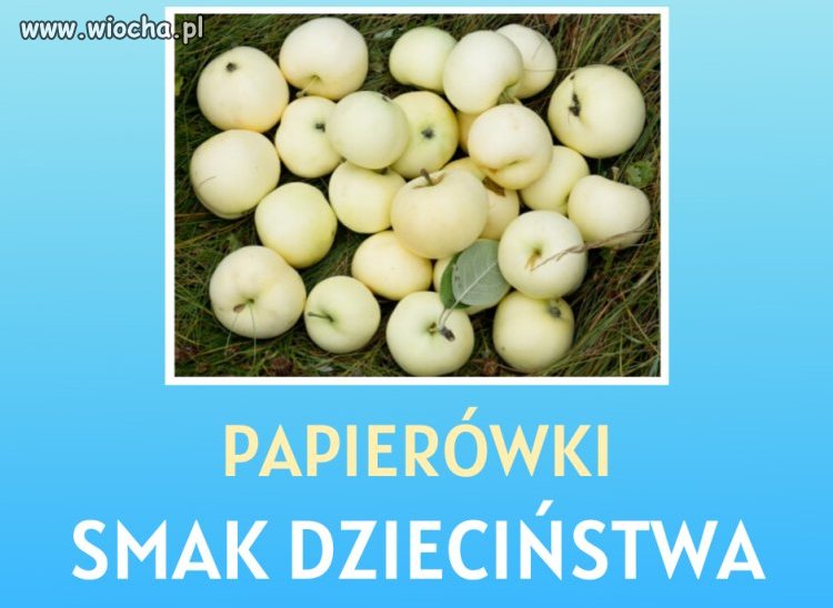 Smak dzieciństwa 