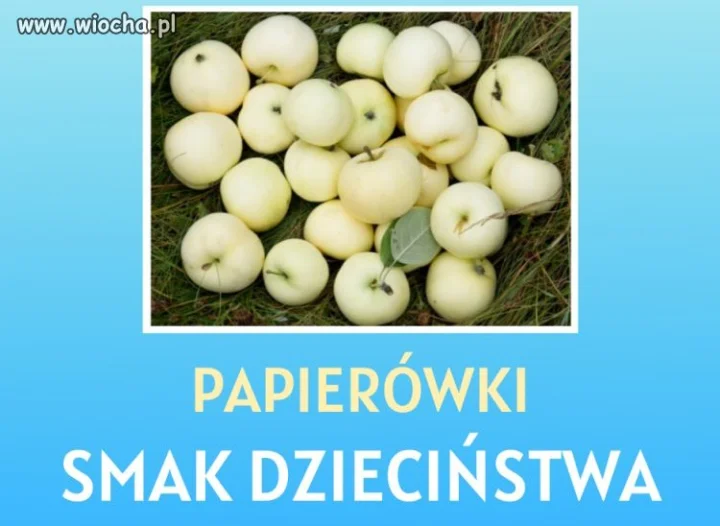 Smak dzieciństwa 