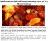 No i znaleźli się właściciele bursztynu