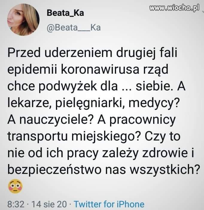 Potrafią o siebie dbać. 