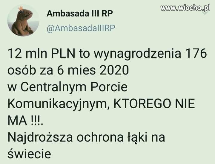 Najdroższa ochrona łąki.