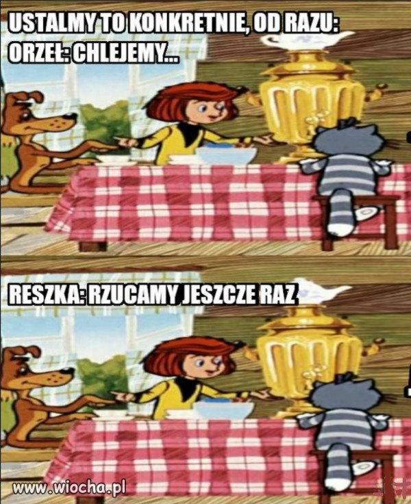 Ścisłe ustalenia   