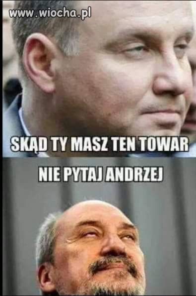 Pisowski