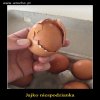 JAJKO