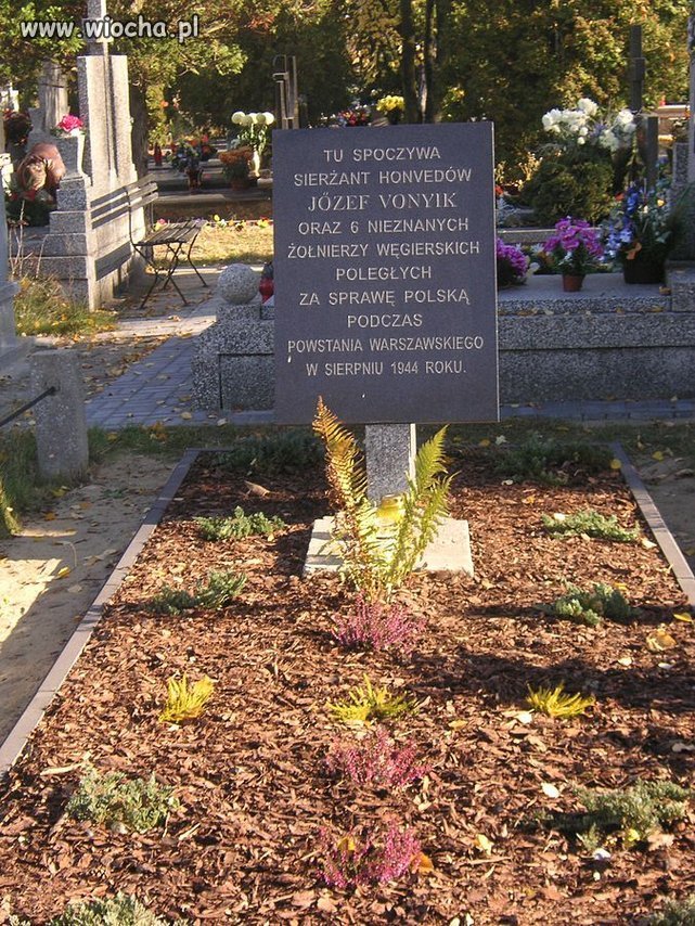 Tak dla pamieci